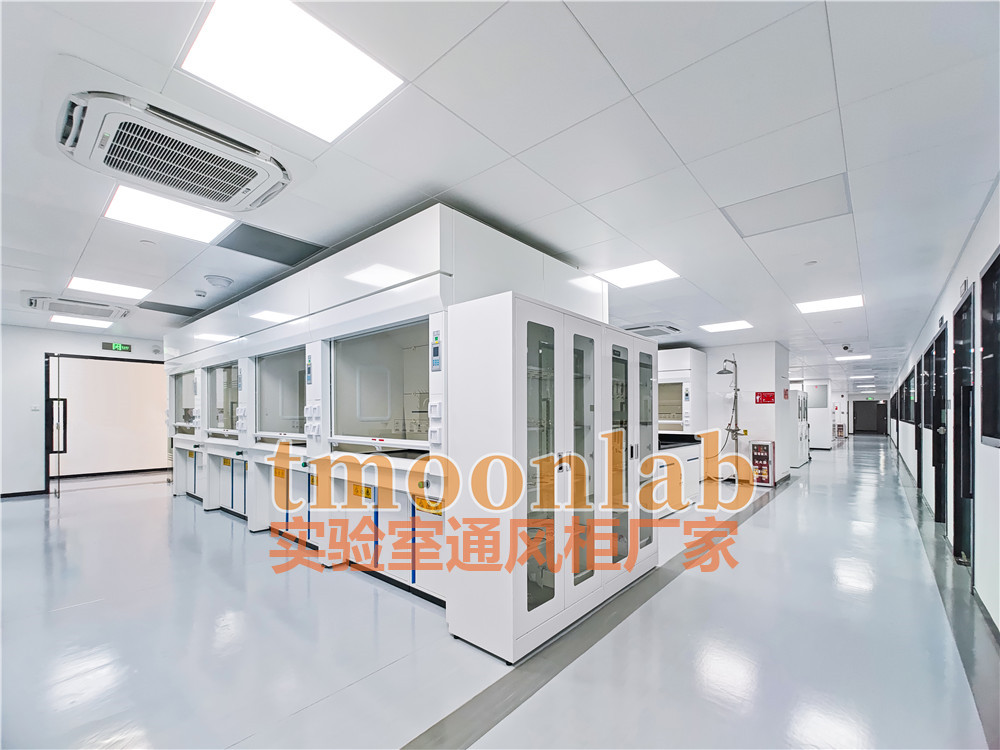 有机化学实验室通风橱生产厂家博尔款式多样