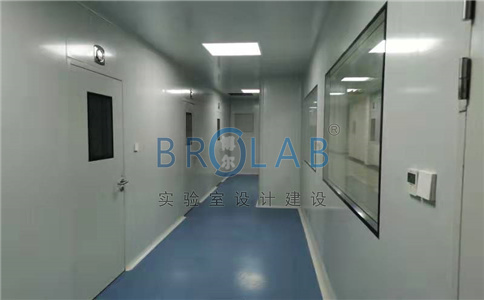 博尔核酸检测实验室设计